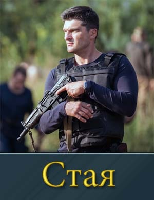 Смотрите Стая на НТВ